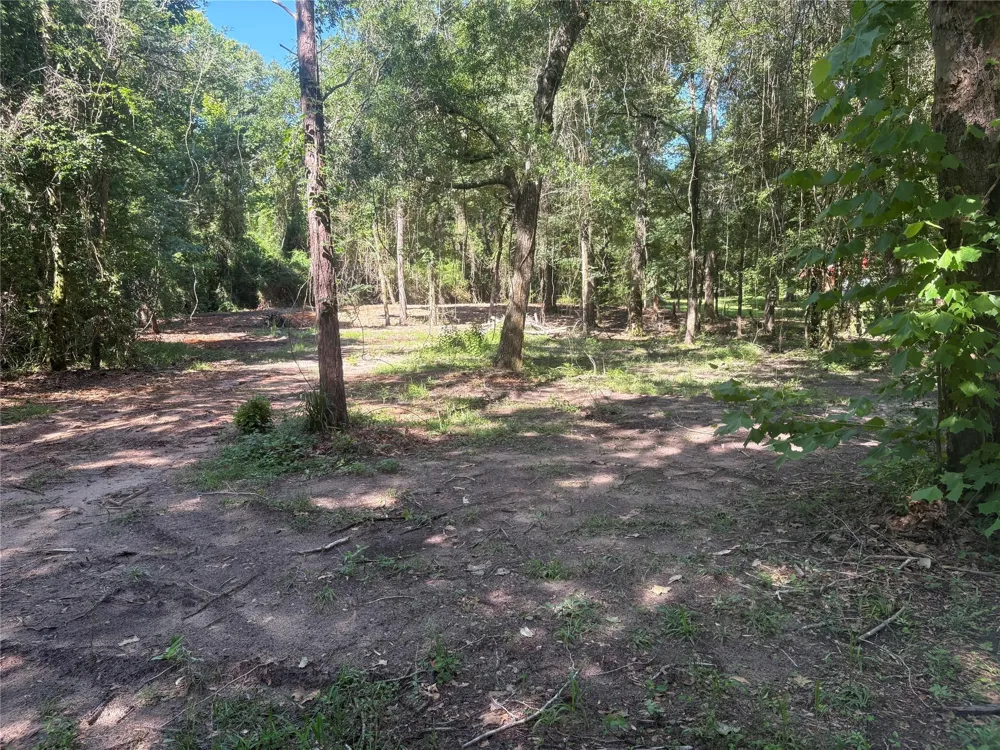 25111 Clear Creek Road Hockley, TX 77447