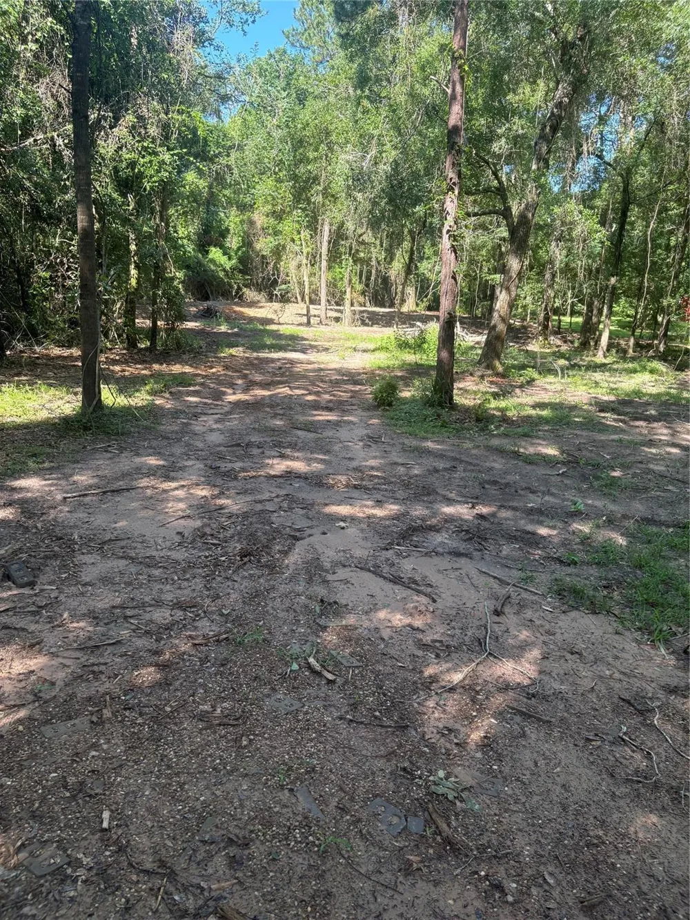 25111 Clear Creek Road Hockley, TX 77447
