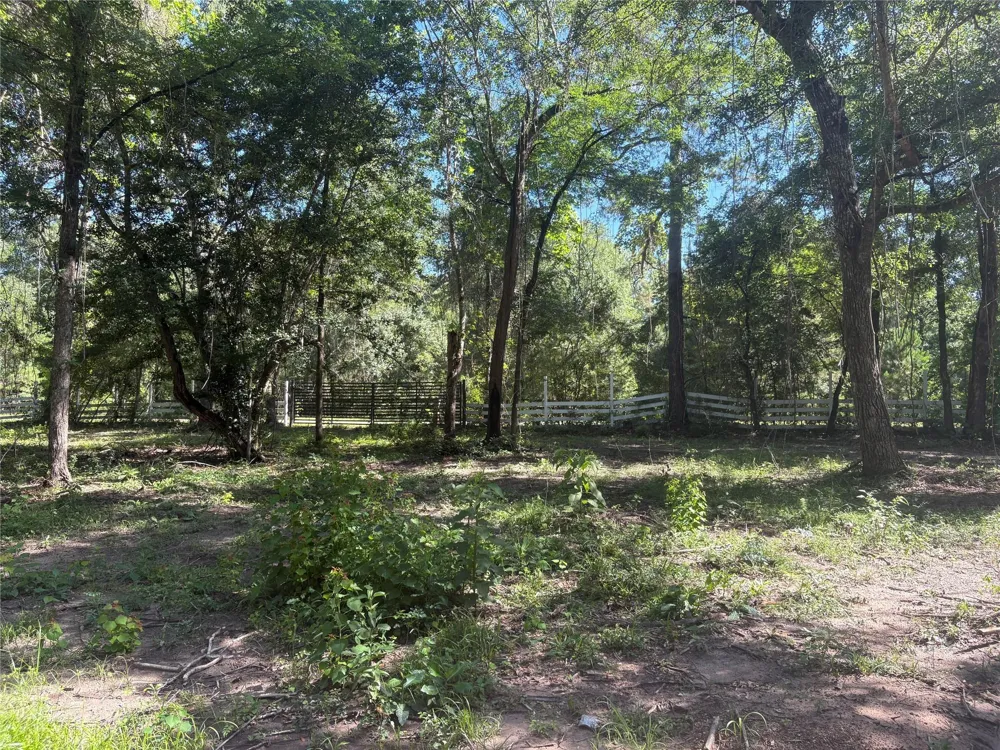 25111 Clear Creek Road Hockley, TX 77447