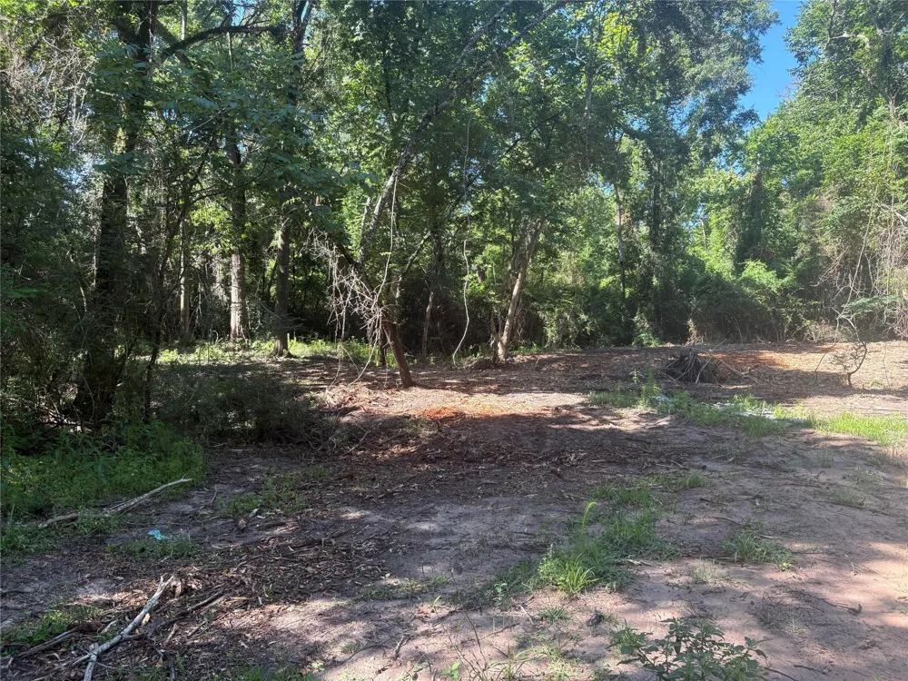 25111 Clear Creek Road Hockley, TX 77447