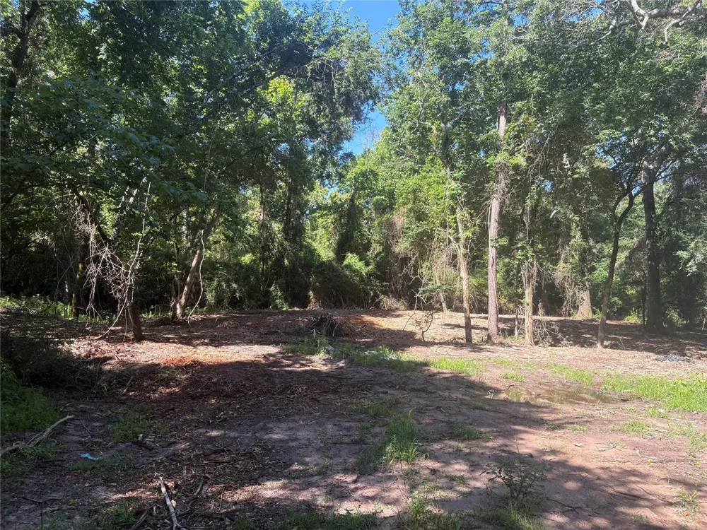 25111 Clear Creek Road Hockley, TX 77447