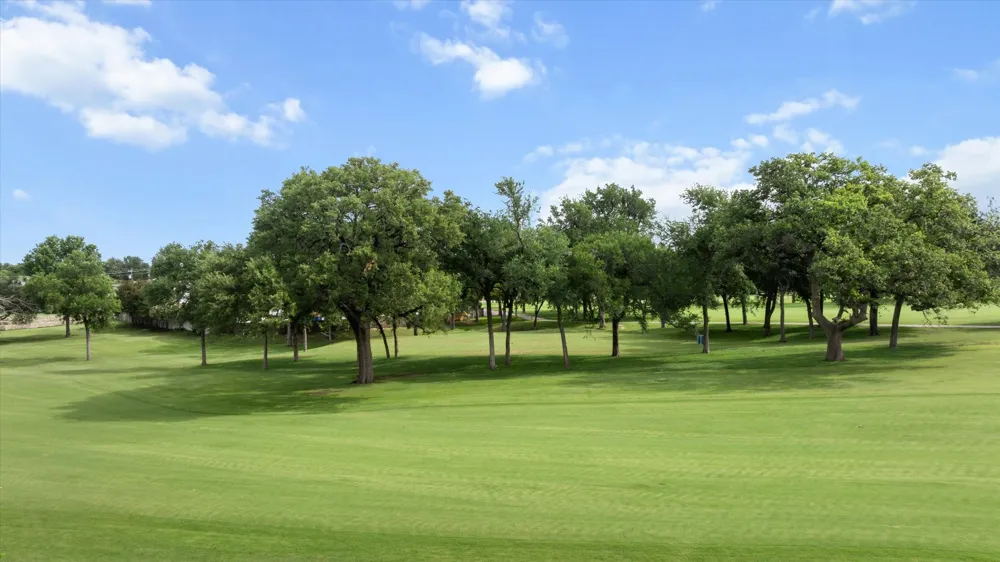 4407 Overlook Court Granbury, TX 76049