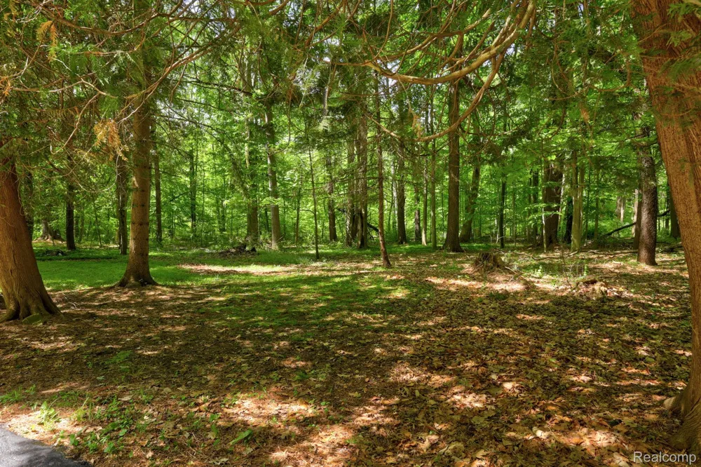 3814 S Towerline Road Bridgeport Charter Township, MI 48722