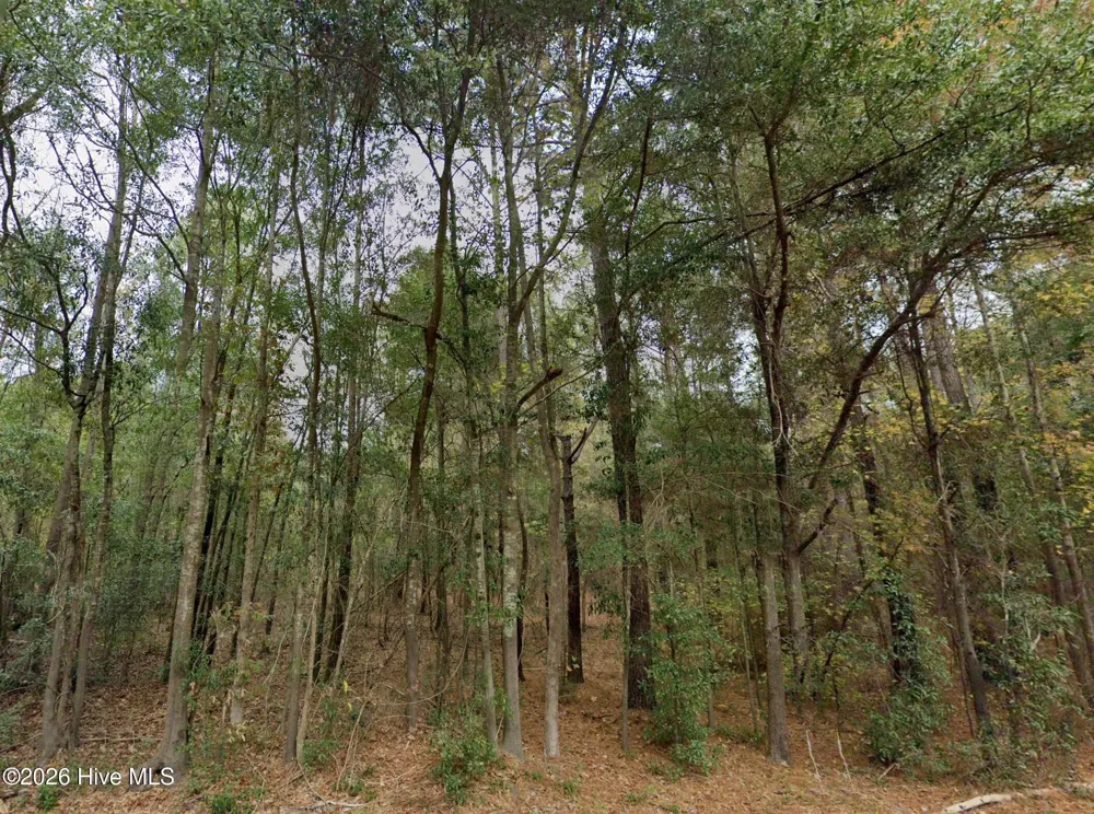 0 Shiloh Road Willard, NC 28478
