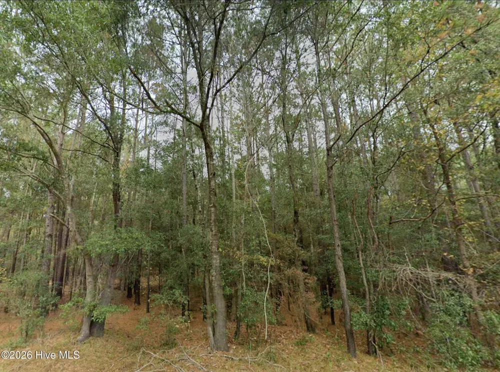 0 Shiloh Road Willard, NC 28478