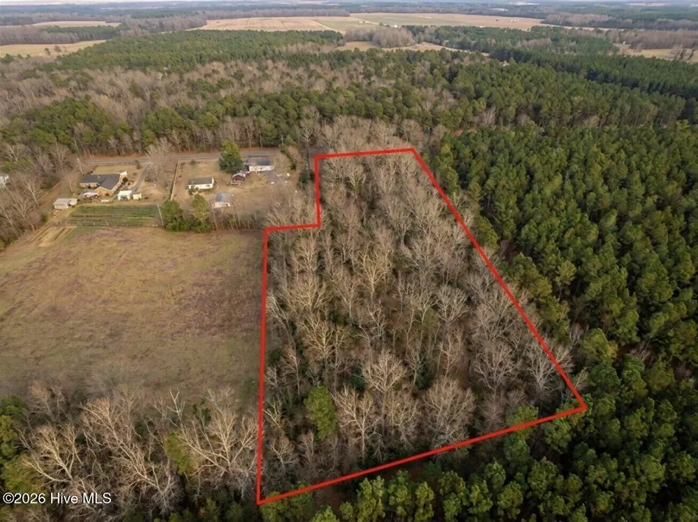 0 Shiloh Road Willard, NC 28478