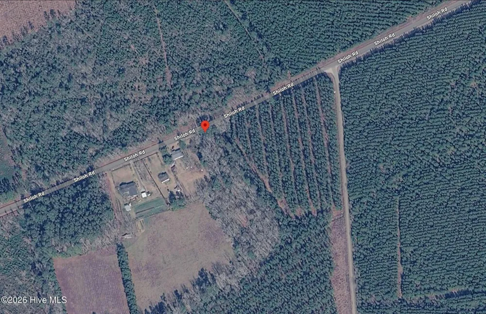 0 Shiloh Road Willard, NC 28478