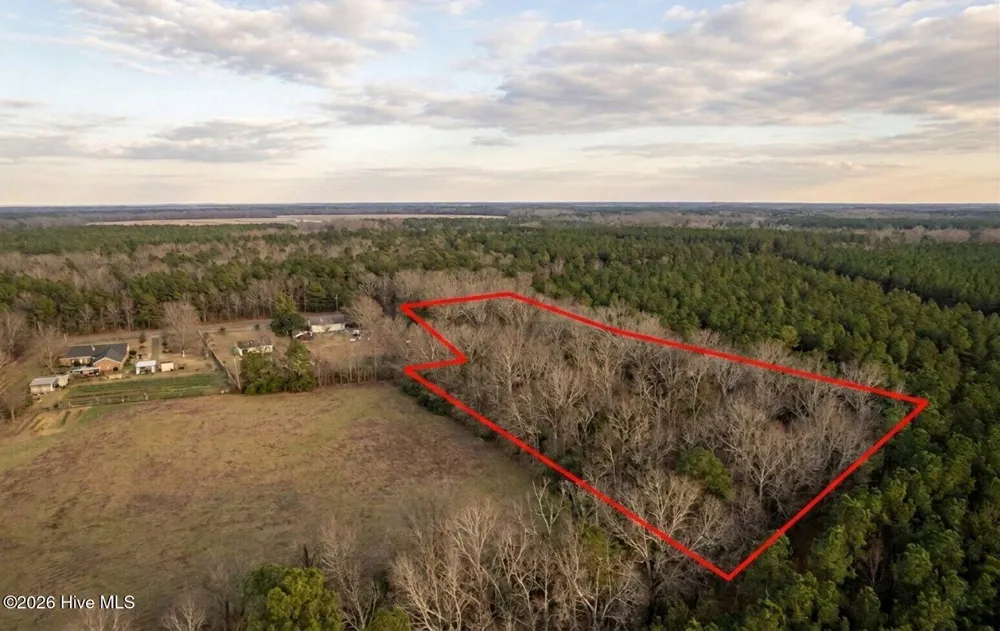0 Shiloh Road Willard, NC 28478