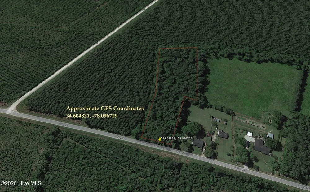 0 Shiloh Road Willard, NC 28478