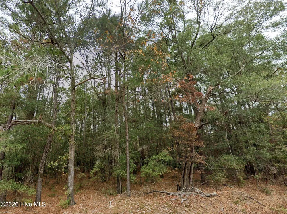 0 Shiloh Road Willard, NC 28478