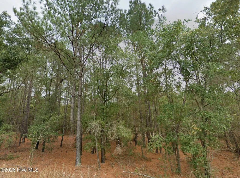0 Shiloh Road Willard, NC 28478