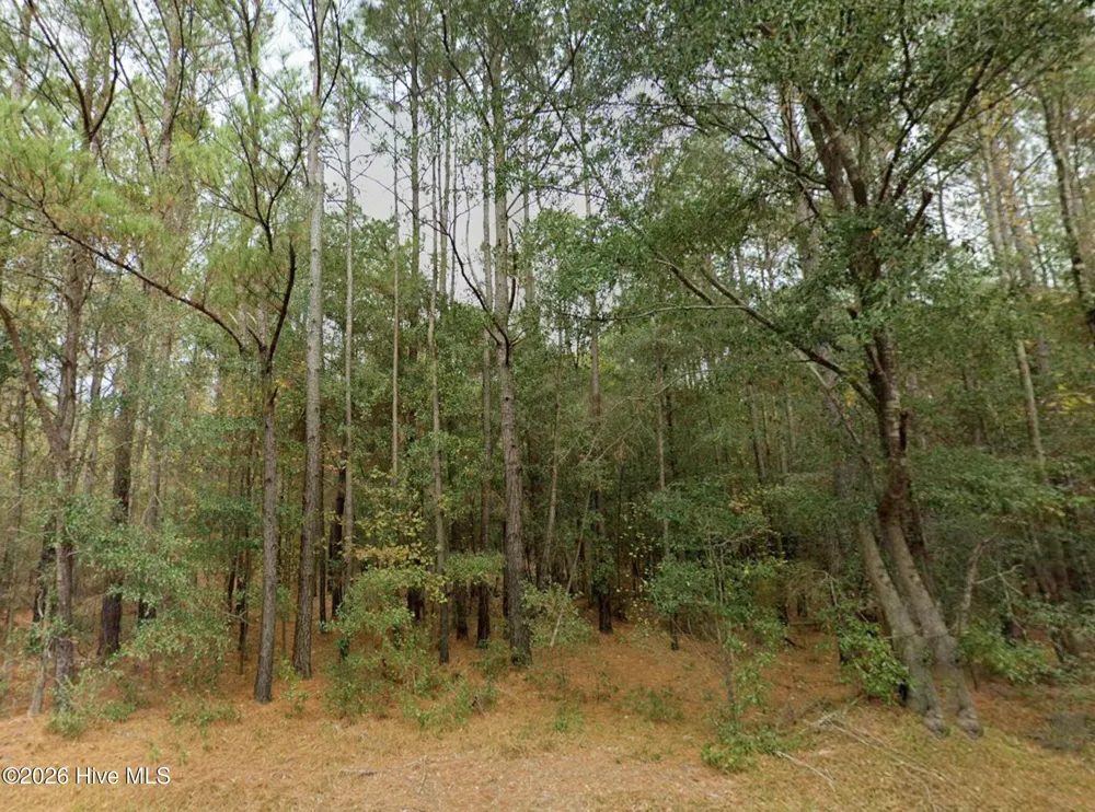 0 Shiloh Road Willard, NC 28478