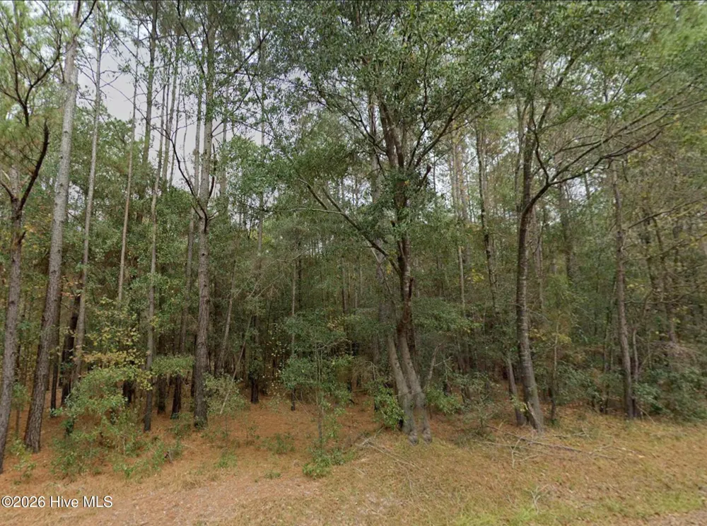 0 Shiloh Road Willard, NC 28478