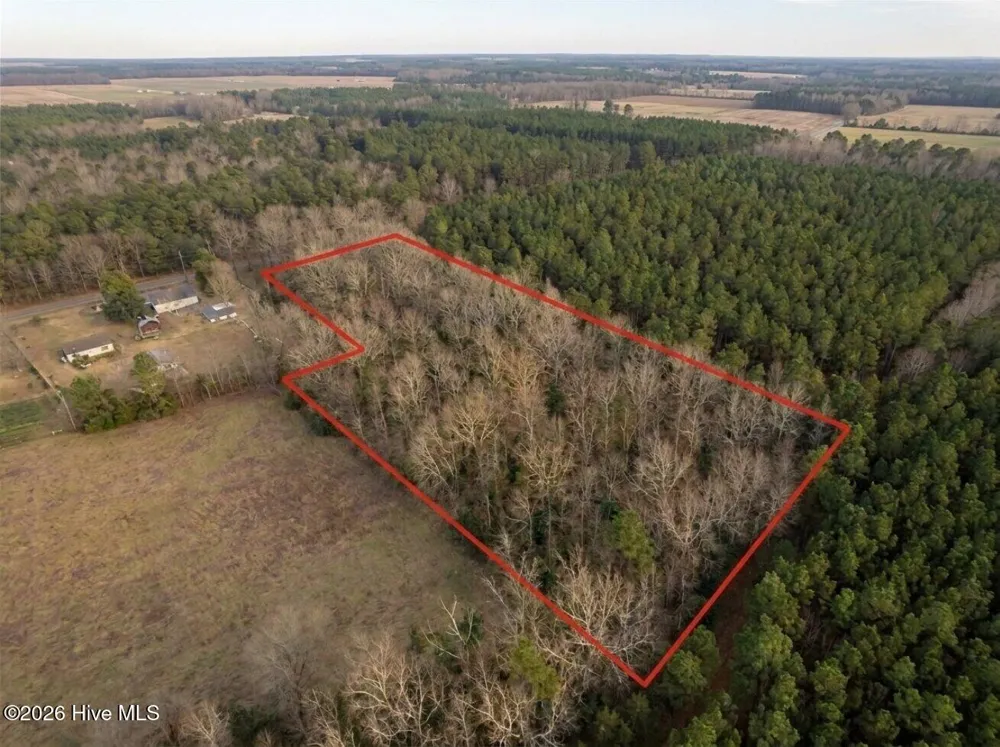 0 Shiloh Road Willard, NC 28478