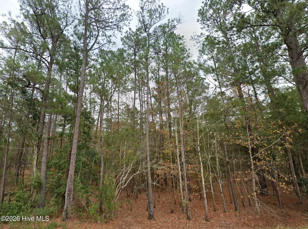0 Shiloh Road Willard, NC 28478