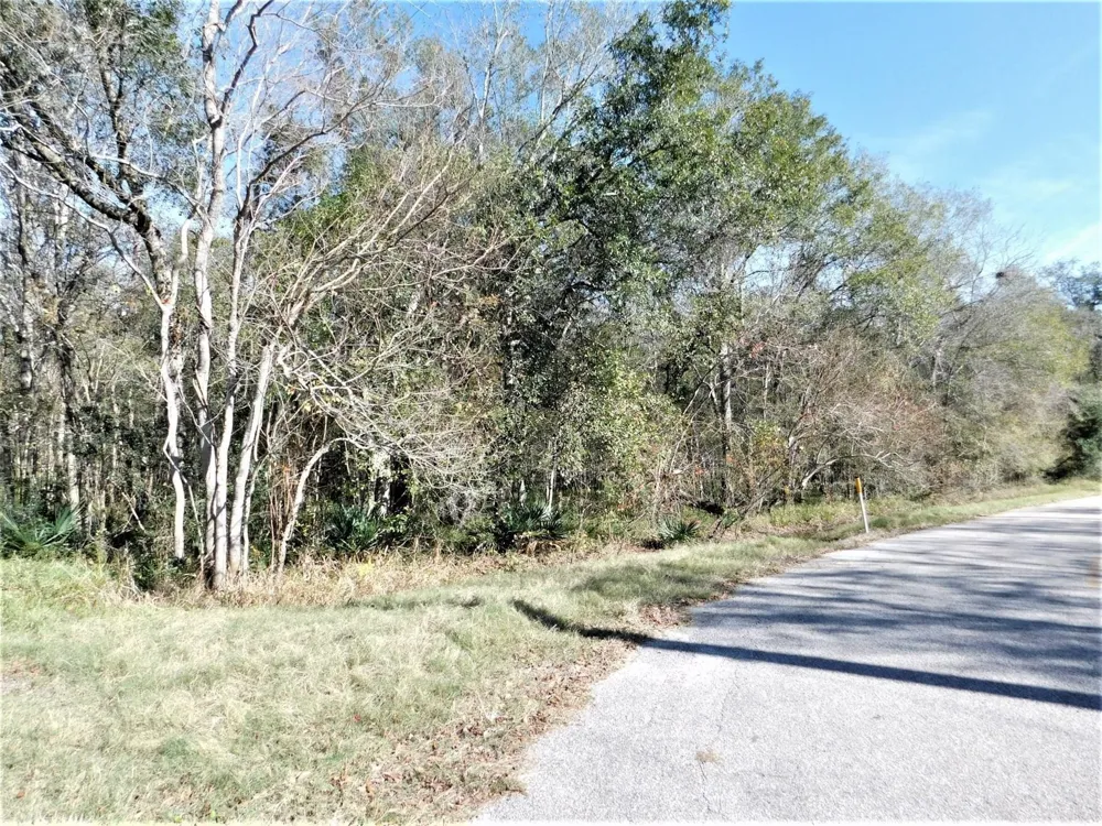 Brazos River Drive Damon, TX 77430