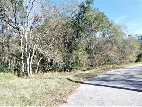 Brazos River Drive