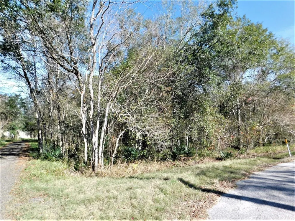 Brazos River Drive Damon, TX 77430