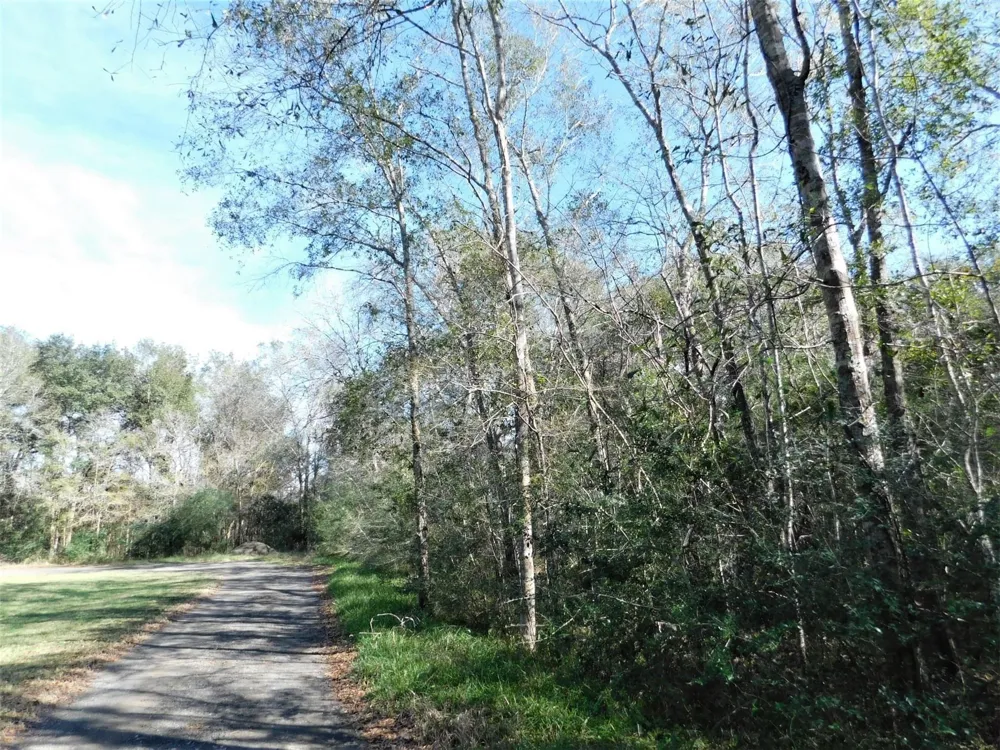 Brazos River Drive Damon, TX 77430