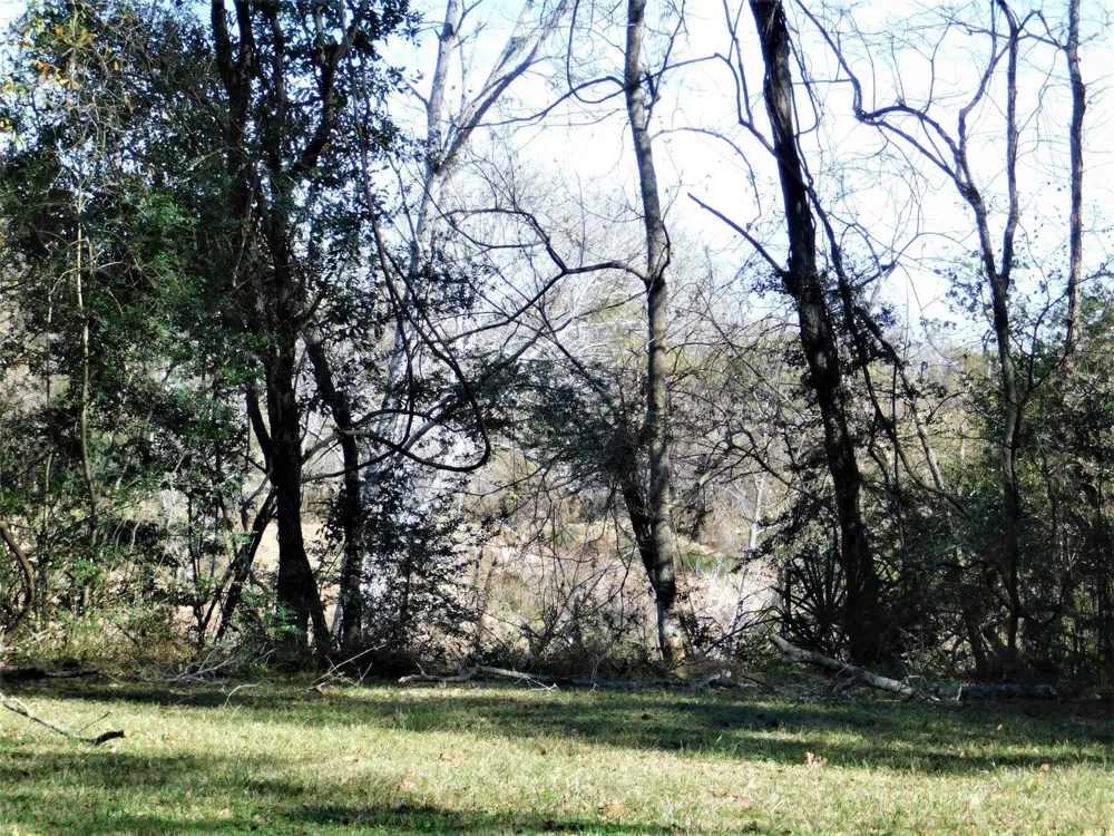 Brazos River Drive Damon, TX 77430