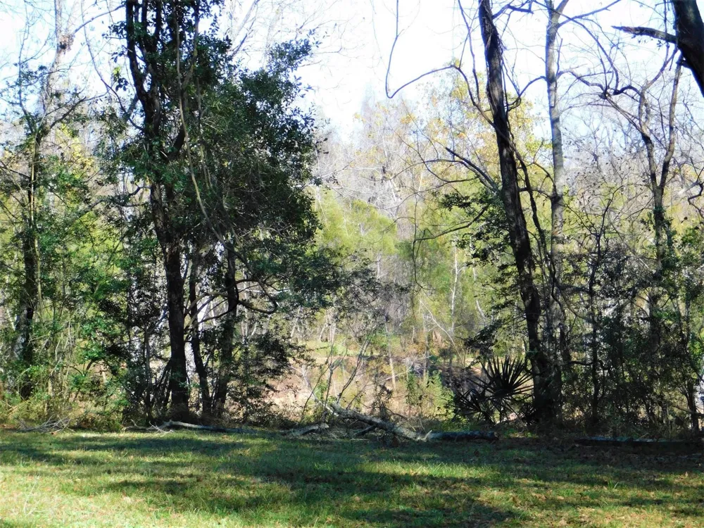 Brazos River Drive Damon, TX 77430