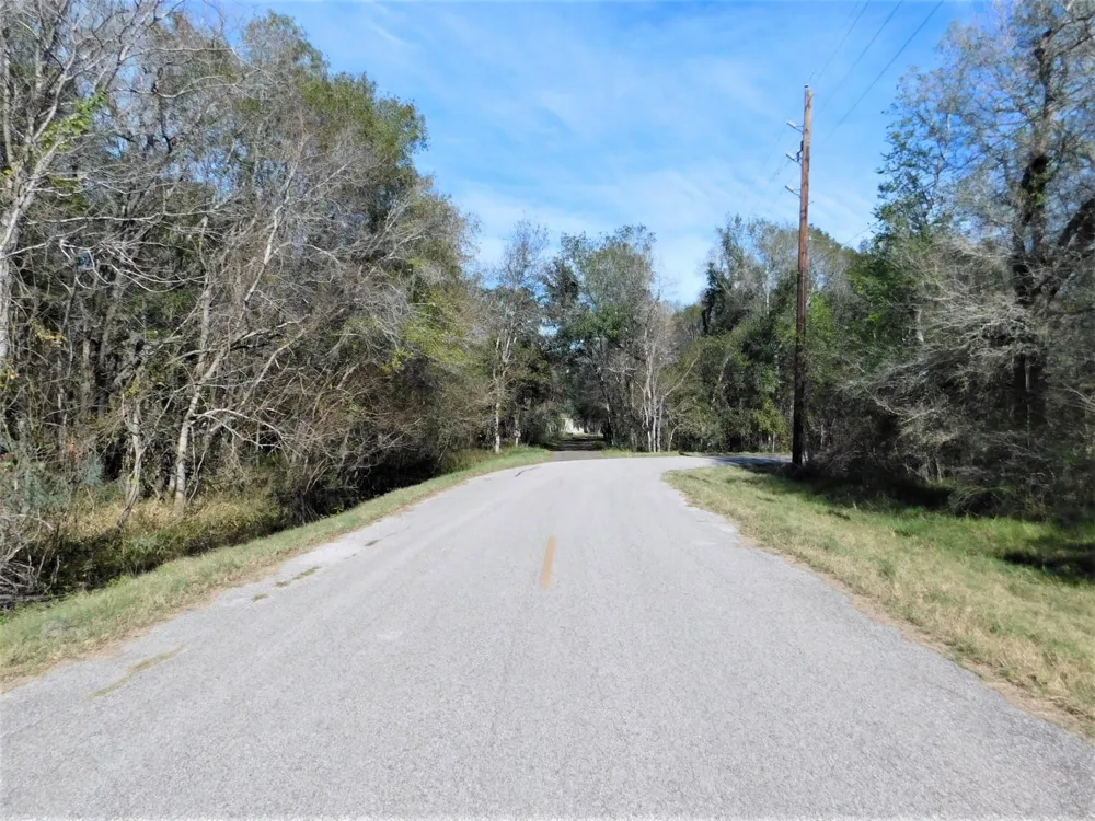 Brazos River Drive Damon, TX 77430
