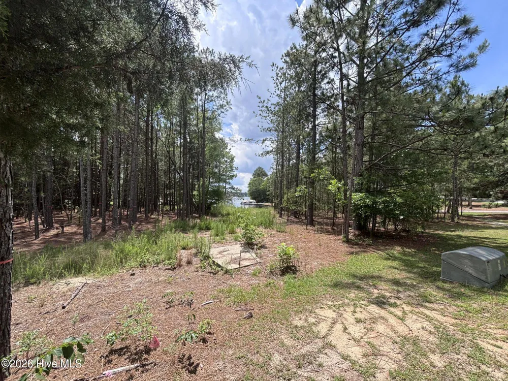 449 Longleaf Drive West End, NC 27376