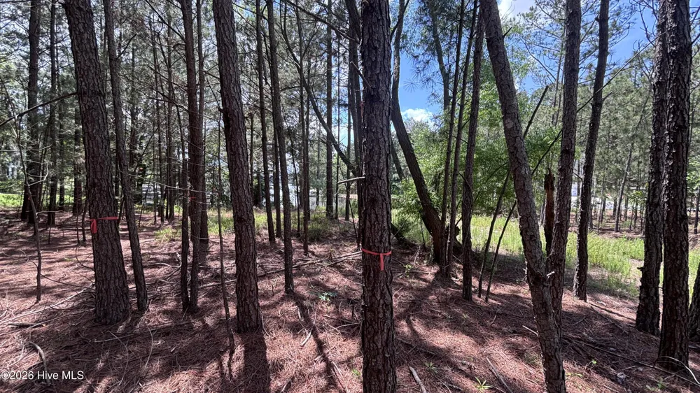 449 Longleaf Drive West End, NC 27376