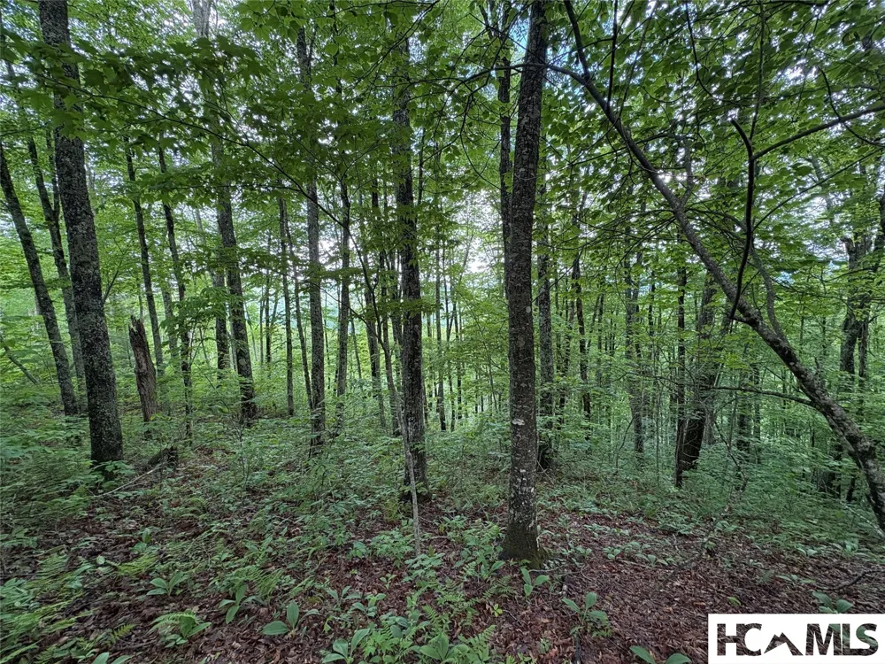LT 22 Hibernation Place Cullowhee, NC 28723