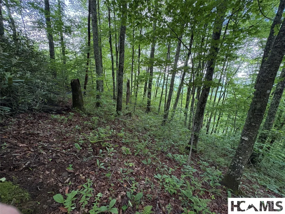 LT 22 Hibernation Place Cullowhee, NC 28723