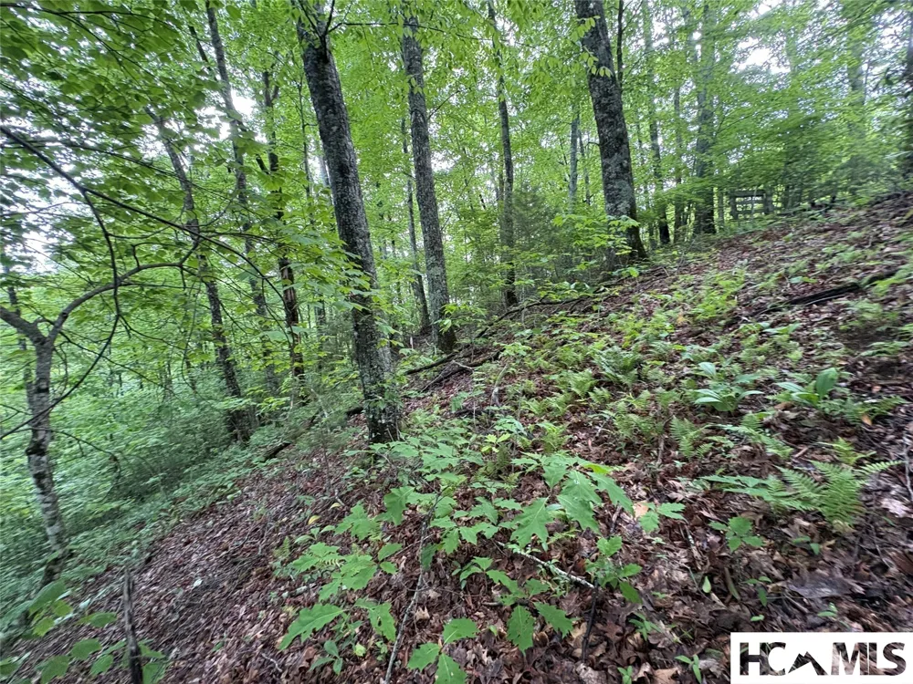 LT 22 Hibernation Place Cullowhee, NC 28723