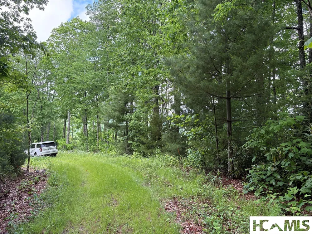LT 22 Hibernation Place Cullowhee, NC 28723