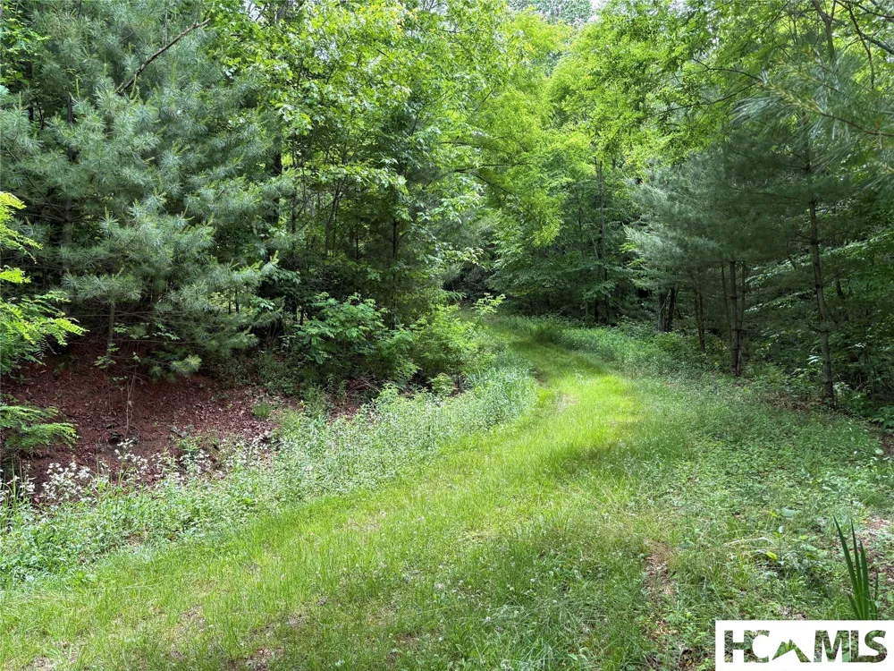 LT 22 Hibernation Place Cullowhee, NC 28723