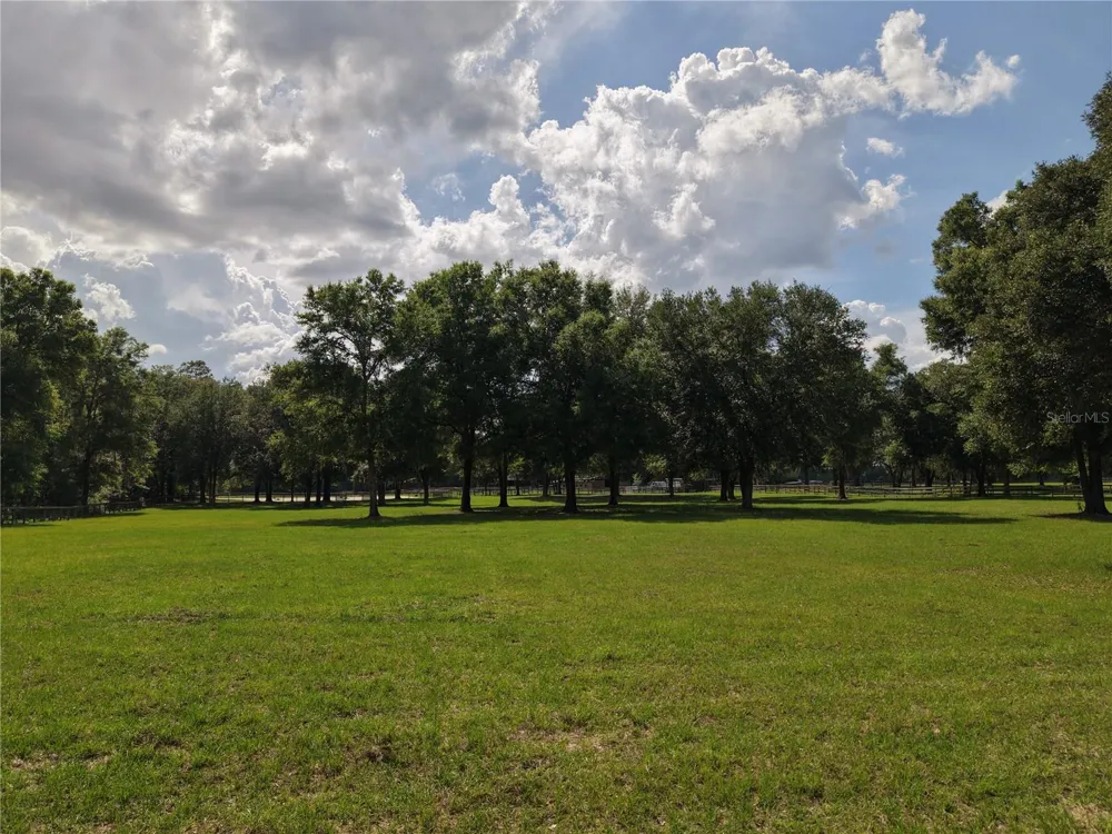 7191 NE 150TH AVENUE Williston, FL 32696