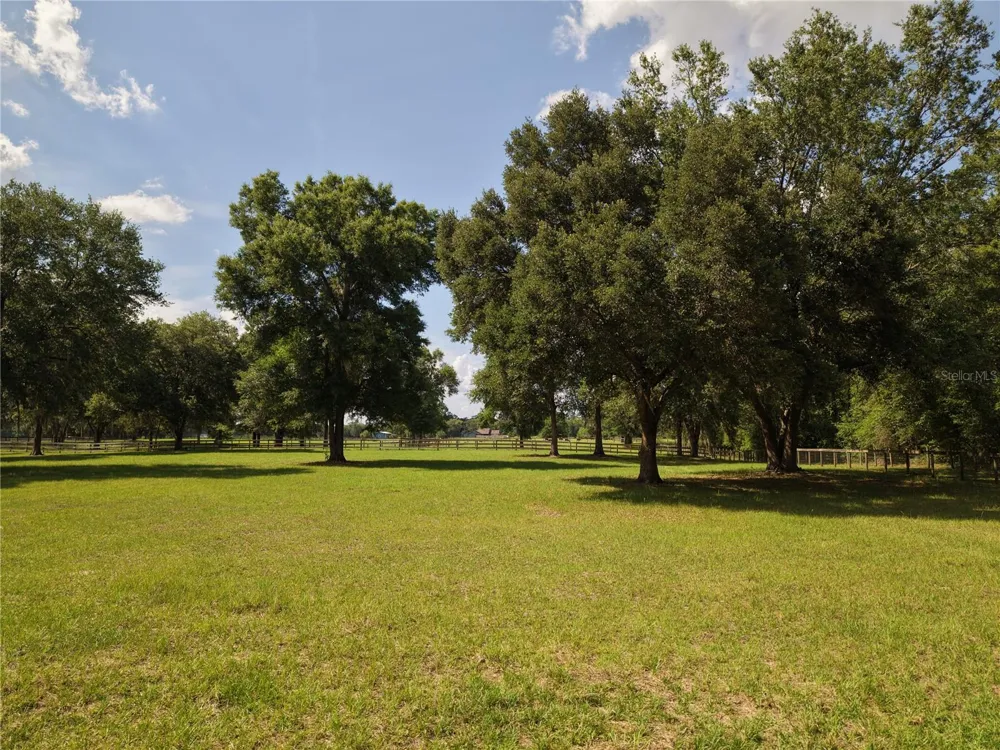 7191 NE 150TH AVENUE Williston, FL 32696