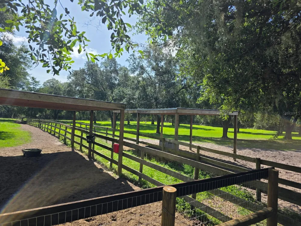 7191 NE 150TH AVENUE Williston, FL 32696