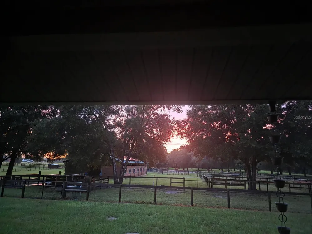 7191 NE 150TH AVENUE Williston, FL 32696