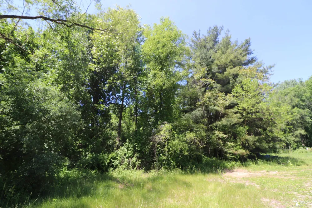 2630 W Temperance Road Bedford Township, MI 48182