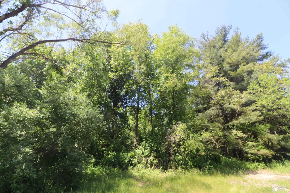 2630 W Temperance Road Bedford Township, MI 48182