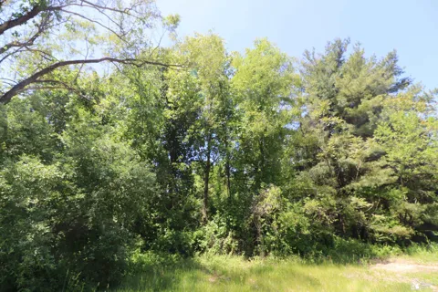 2630 W Temperance Road