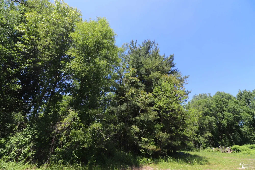 2630 W Temperance Road Bedford Township, MI 48182