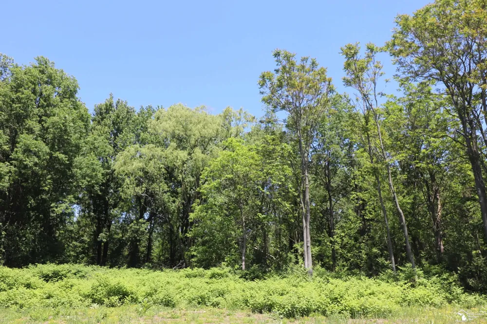 2630 W Temperance Road Bedford Township, MI 48182