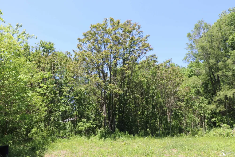 2630 W Temperance Road Bedford Township, MI 48182