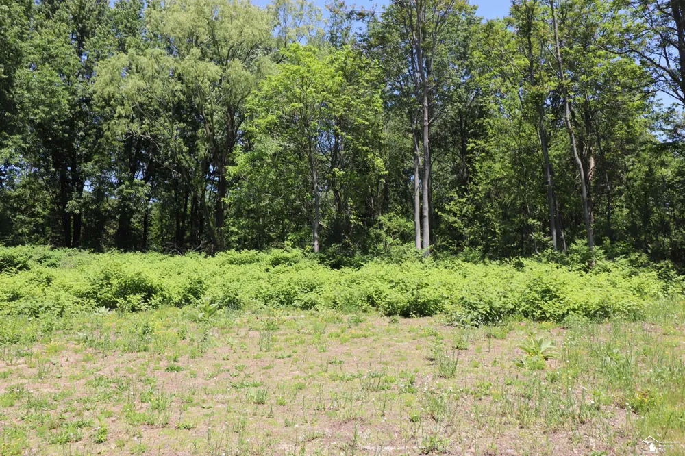 2630 W Temperance Road Bedford Township, MI 48182