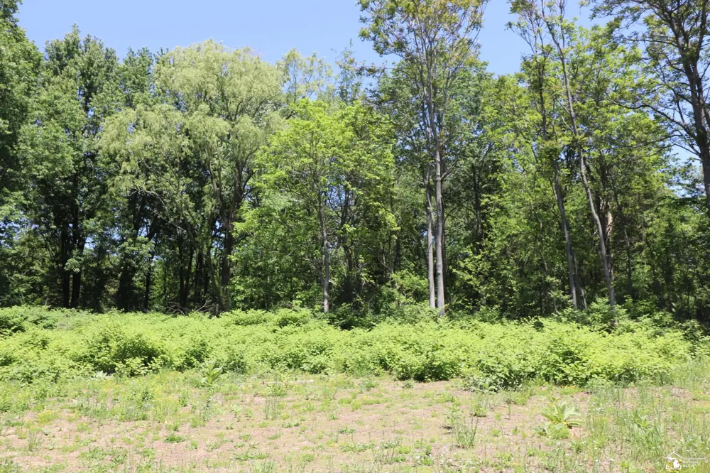 2630 W Temperance Road Bedford Township, MI 48182