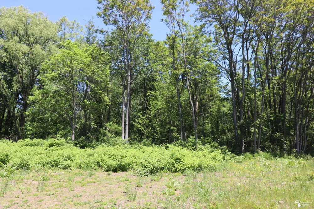 2630 W Temperance Road Bedford Township, MI 48182