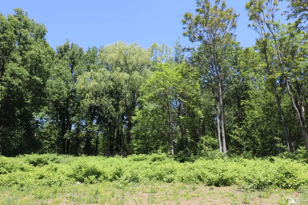 2630 W Temperance Road Bedford Township, MI 48182