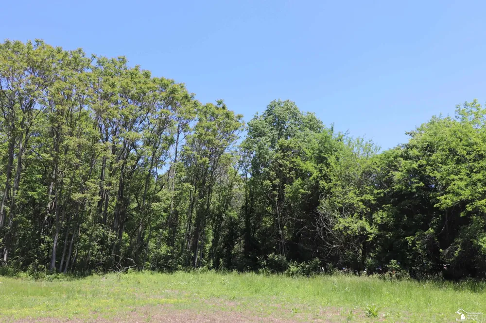 2630 W Temperance Road Bedford Township, MI 48182