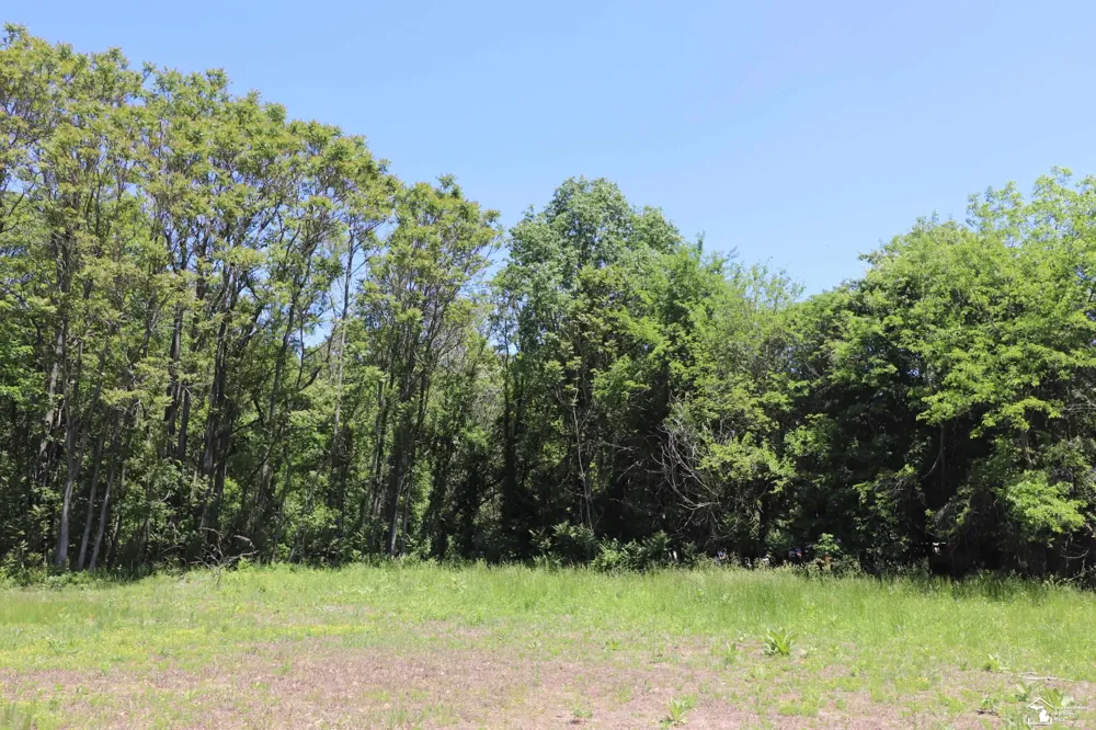 2630 W Temperance Road Bedford Township, MI 48182