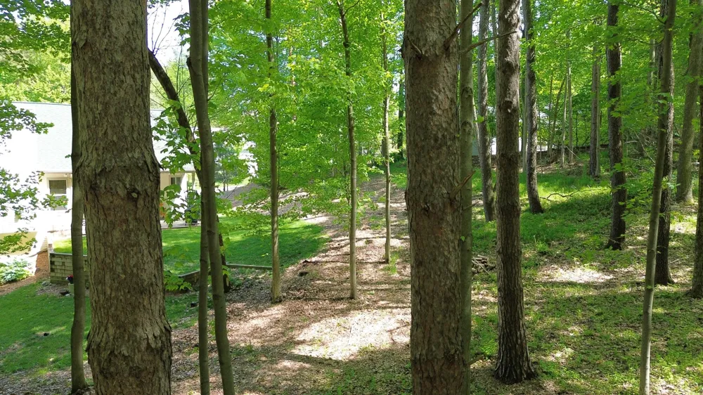 710 Glen Oak Drive Manchester, MI 48158
